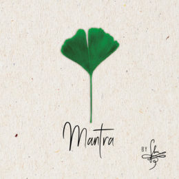 Shu Mantra Cover