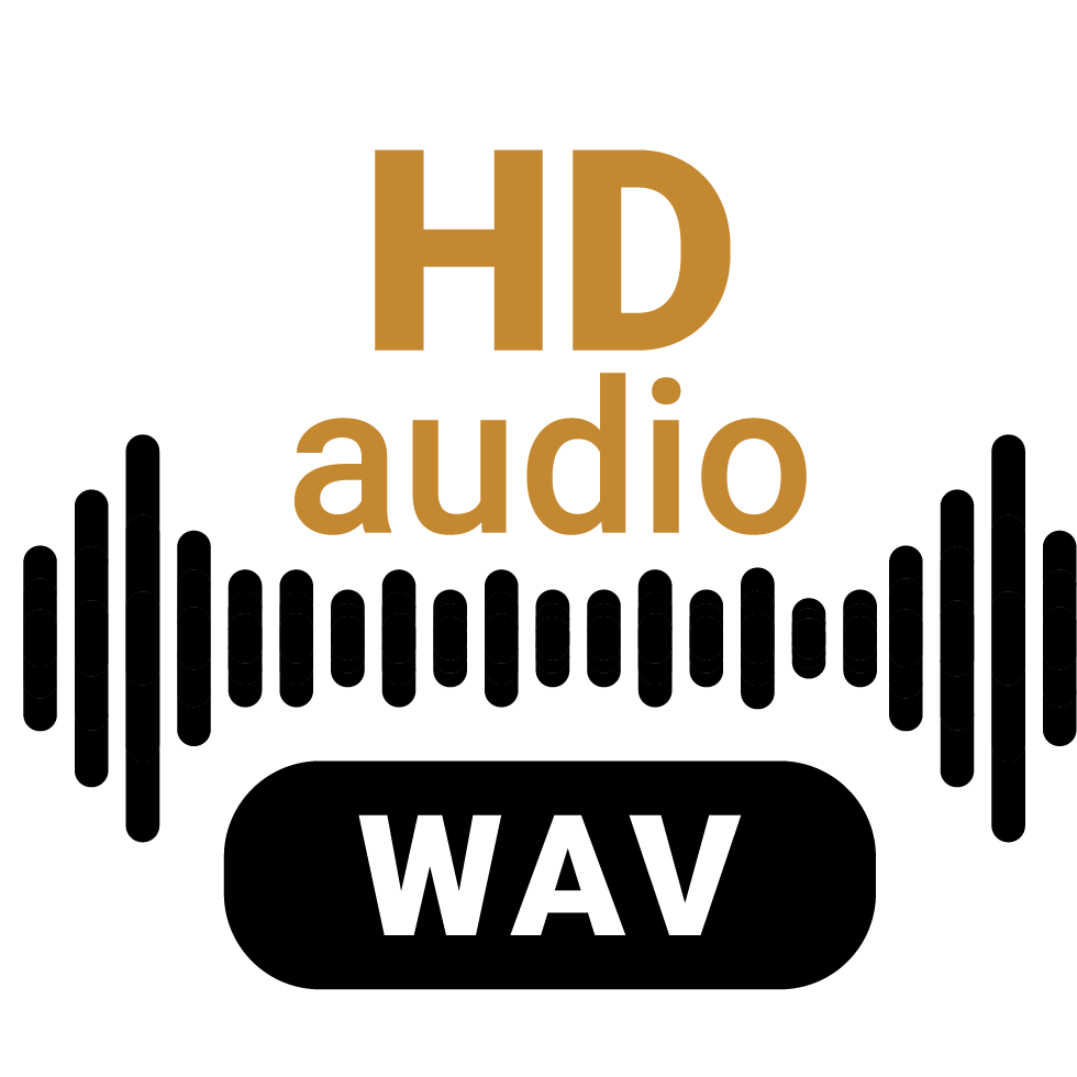 HD Audio